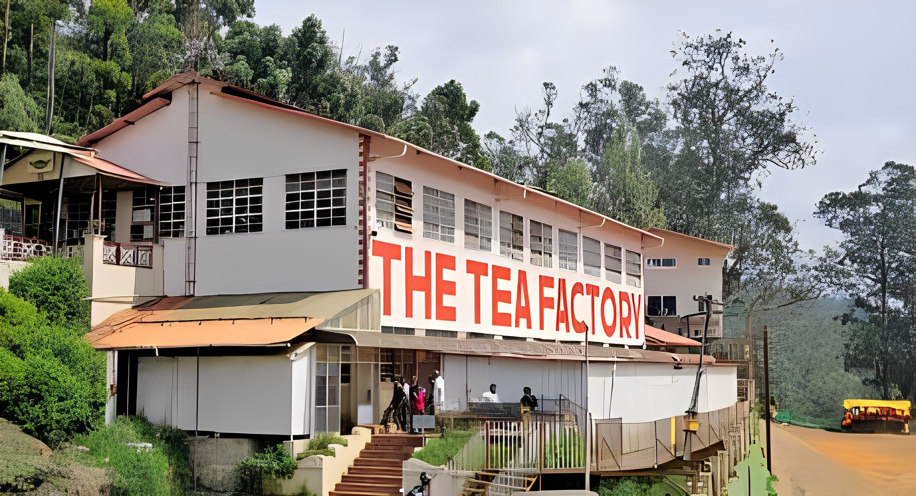 Tea Factory & Tea Museum