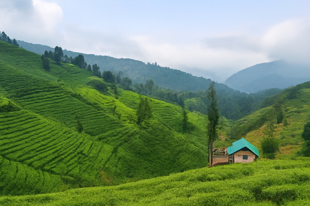 Coimbatore + Ooty Day Trip