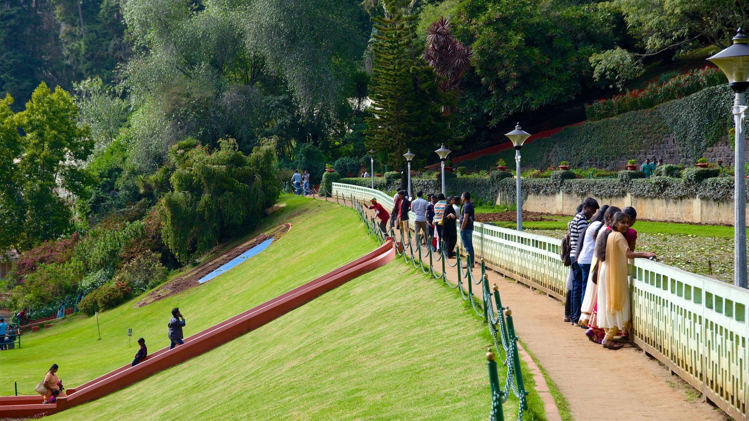 Ooty, Coonoor, Pykara & Kotagiri